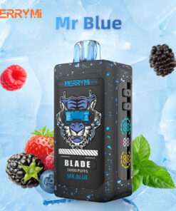 Commercial data sheet for MerryMi Blade 30000 Puffs Mr Blue 10-pack display box wholesale supply Europe