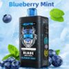 Order MerryMi Blade 30000 Puffs Blueberry Mint 10-pack display box wholesale price Europe distributor
