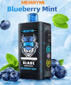 Order MerryMi Blade 30000 Puffs Blueberry Mint 10-pack display box wholesale price Europe distributor