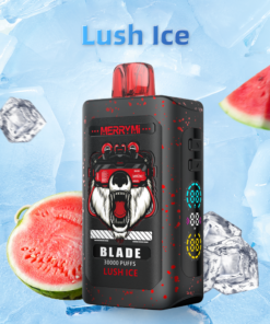 Direct B2B procurement for MerryMi Blade 30000 Puffs Lush Ice 10-pack commercial dealer cases