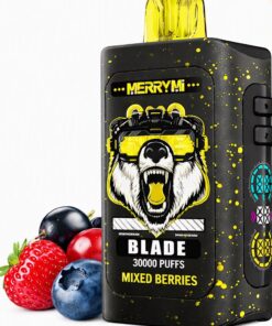 Order MerryMi Blade 30000 Puffs Mixed Berries 10-pack display box wholesale price Europe distributor
